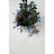 Hello Honey® 6'' Reactive Glaze Stoneware Planter with Birds on Rim